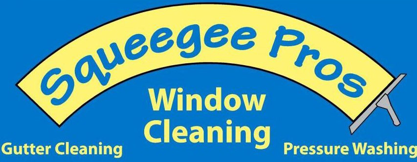 What is the Difference Between Soft Washing and Pressure Washing? - Window  Cleaning & Pressure Washing - Squeegee Squad