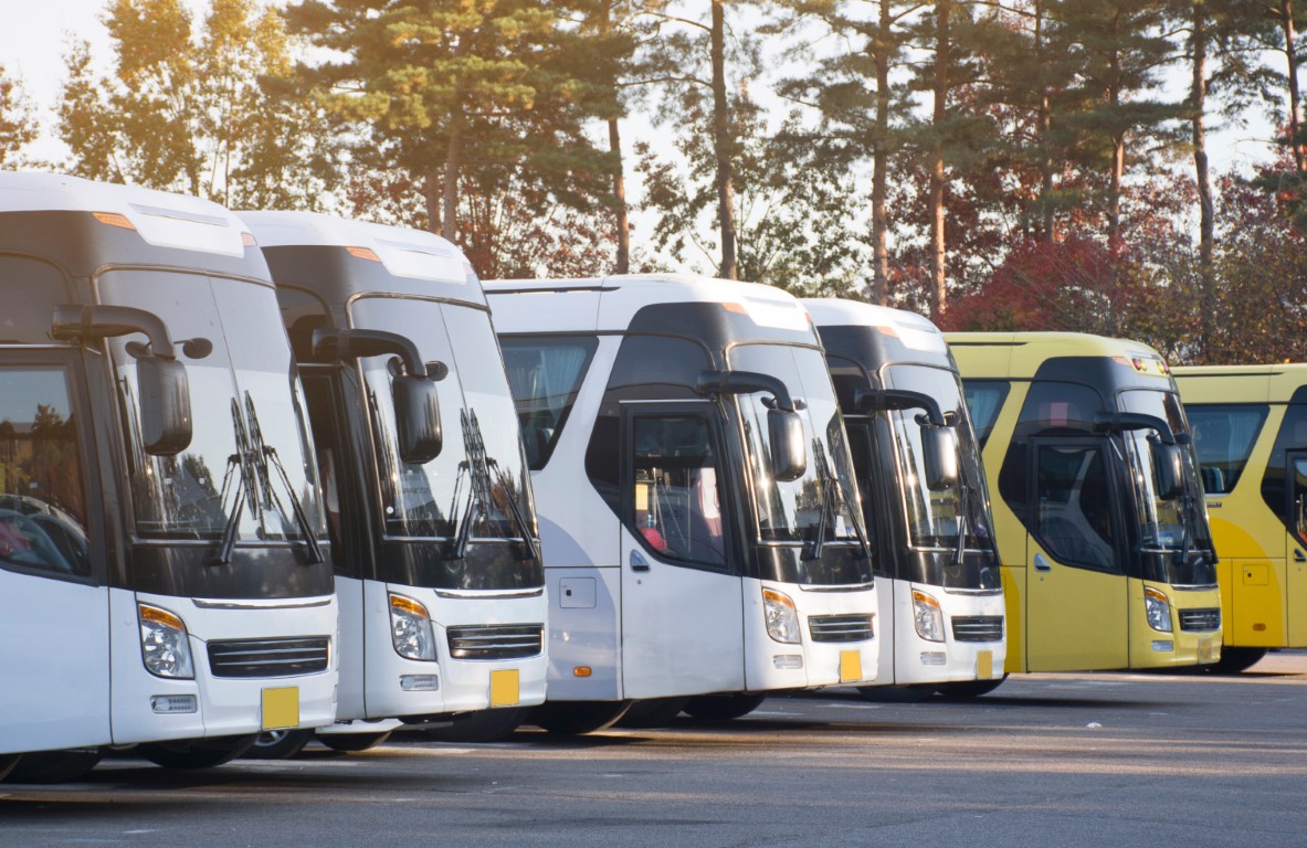 Buses and Public Transport Vehicles