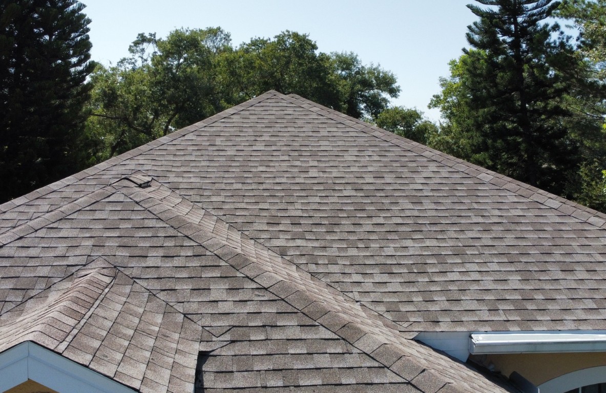 Shingle Roof Cleaning